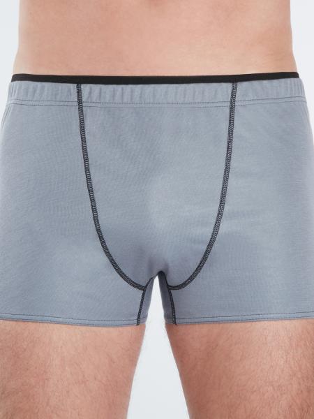 boxer gris de face