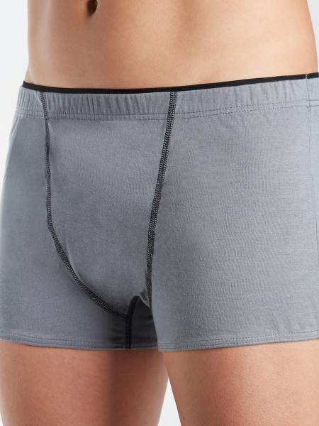 boxer gris de profil